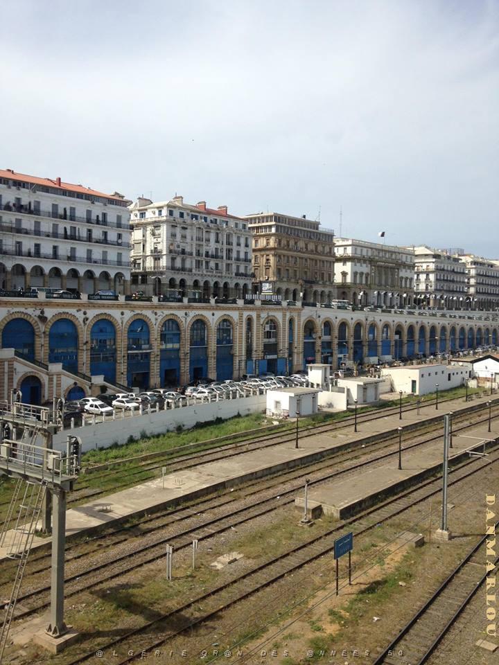 Alger 6.jpg
